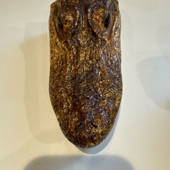 Unique Natural Alligator taxidermy Jaw Decor - Picture 8 of 10